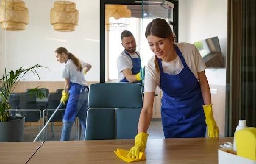 imgi_72_caretaking-cleaner