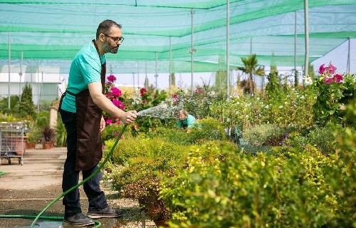 imgi_80_gardening