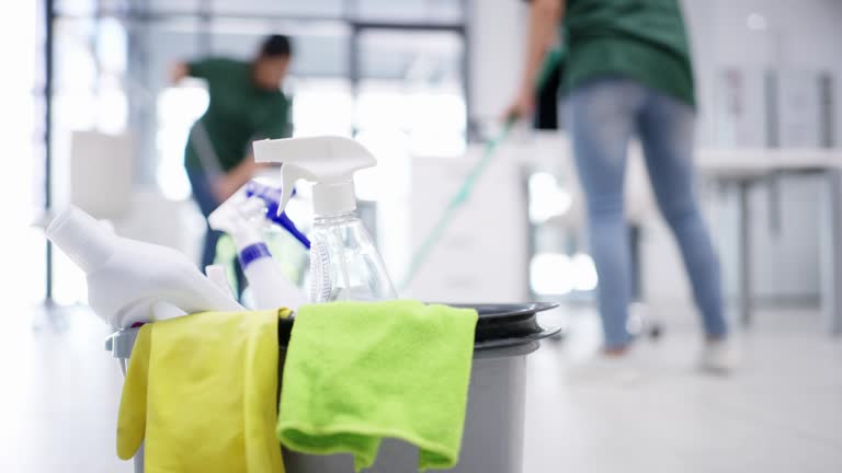 professional cleaning services